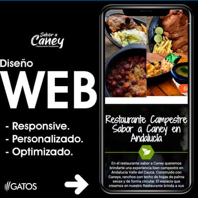 diseño de pagina web restaurante